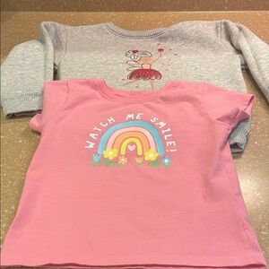 Garanimals Pink and Gray Kids Sweatshirt and T-Shirt Set